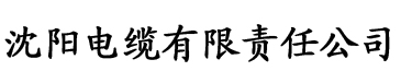 精品黄片在线视频电缆厂logo